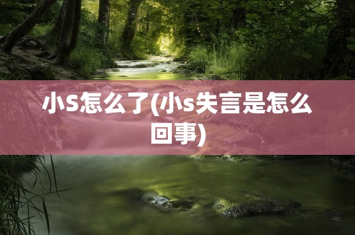 小S怎么了(小s失言是怎么回事)