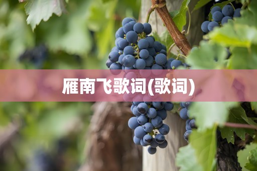 雁南飞歌词(歌词)