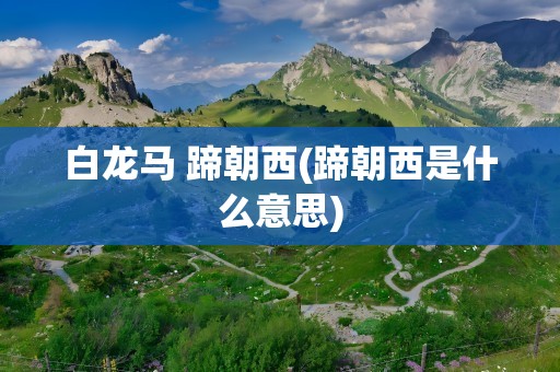 白龙马 蹄朝西(蹄朝西是什么意思)