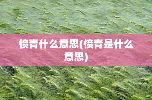 愤青什么意思(愤青是什么意思)
