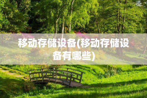 移动存储设备(移动存储设备有哪些)