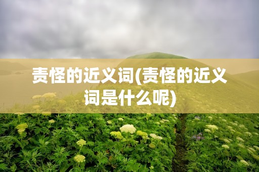 责怪的近义词(责怪的近义词是什么呢)