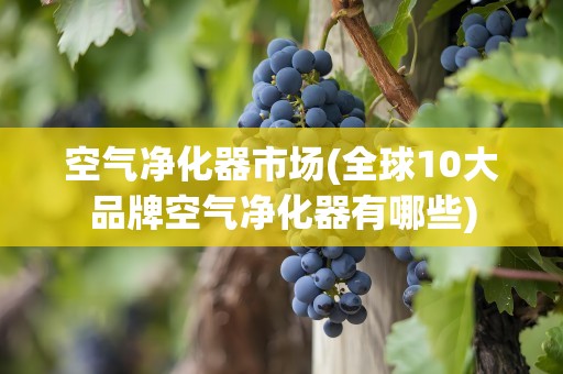 空气净化器市场(全球10大品牌空气净化器有哪些)