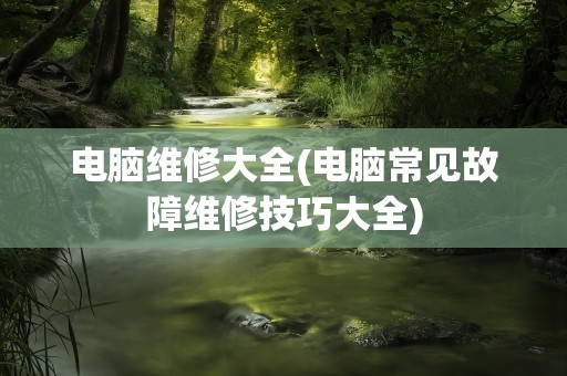 电脑维修大全(电脑常见故障维修技巧大全)