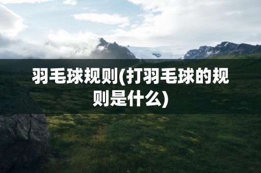 羽毛球规则(打羽毛球的规则是什么)