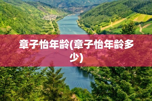 章子怡年龄(章子怡年龄多少)