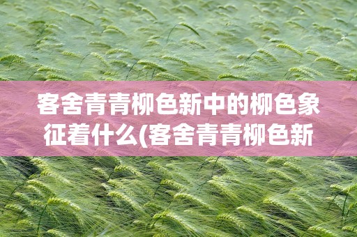 客舍青青柳色新中的柳色象征着什么(客舍青青柳色新的柳色是什么意思)