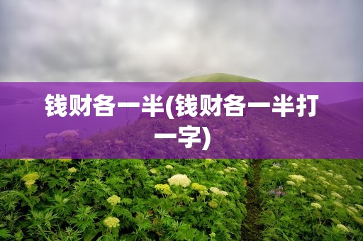 钱财各一半(钱财各一半打一字)
