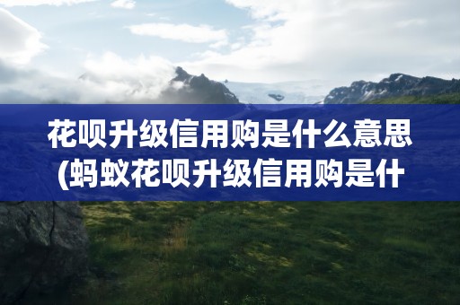 花呗升级信用购是什么意思(蚂蚁花呗升级信用购是什么意思)