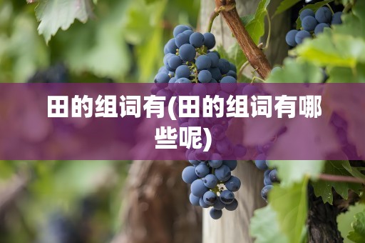 田的组词有(田的组词有哪些呢)
