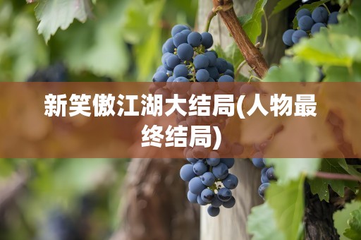 新笑傲江湖大结局(人物最终结局)