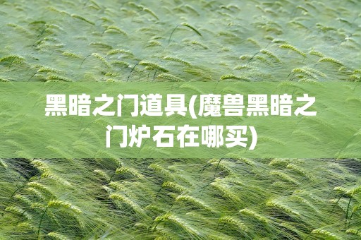 黑暗之门道具(魔兽黑暗之门炉石在哪买)