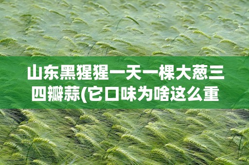 山东黑猩猩一天一棵大葱三四瓣蒜(它口味为啥这么重)