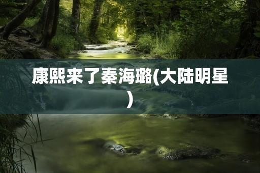 康熙来了秦海璐(大陆明星)