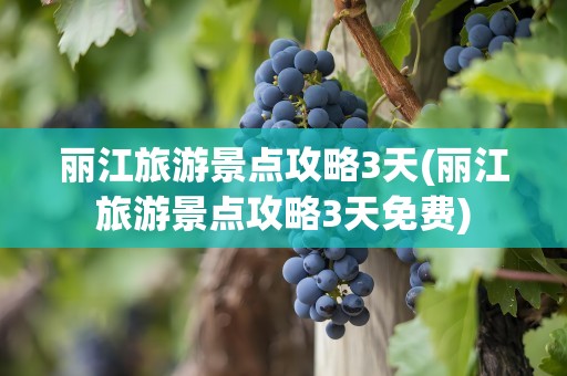 丽江旅游景点攻略3天(丽江旅游景点攻略3天免费)