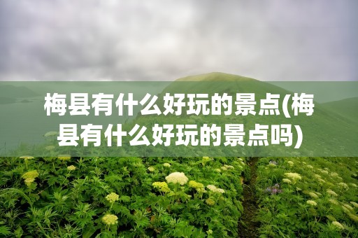 梅县有什么好玩的景点(梅县有什么好玩的景点吗)