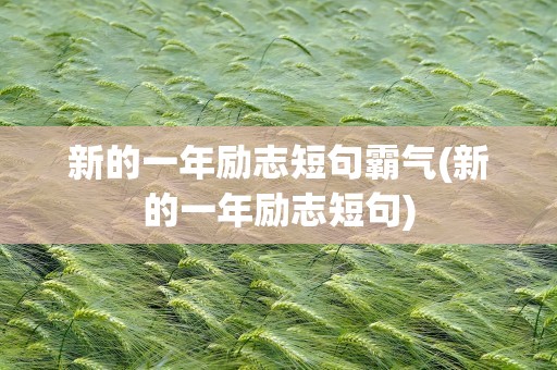 新的一年励志短句霸气(新的一年励志短句)