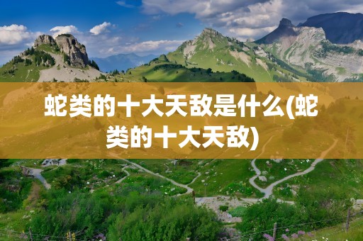 蛇类的十大天敌是什么(蛇类的十大天敌)