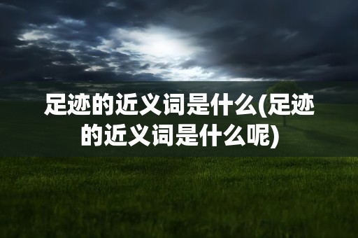 足迹的近义词是什么(足迹的近义词是什么呢)