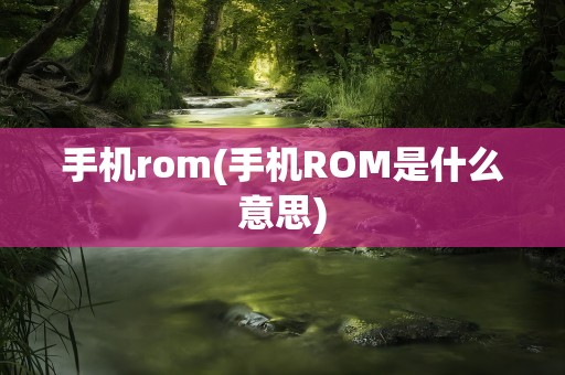 手机rom(手机ROM是什么意思)