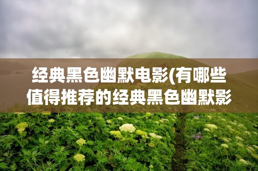 经典黑色幽默电影(有哪些值得推荐的经典黑色幽默影片)