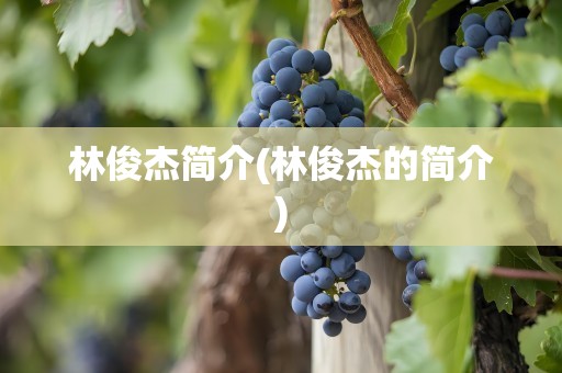 林俊杰简介(林俊杰的简介)