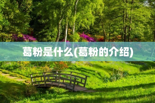 葛粉是什么(葛粉的介绍)