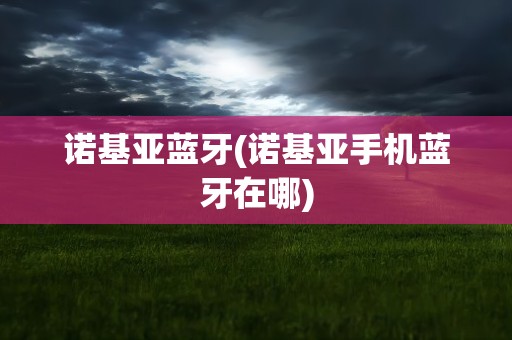诺基亚蓝牙(诺基亚手机蓝牙在哪)