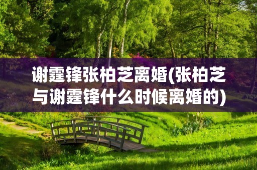 谢霆锋张柏芝离婚(张柏芝与谢霆锋什么时候离婚的)