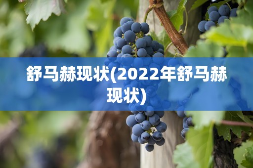 舒马赫现状(2022年舒马赫现状)
