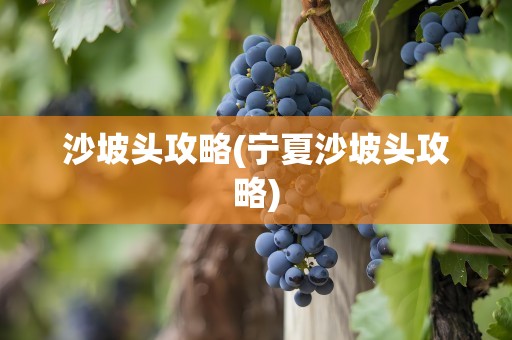 沙坡头攻略(宁夏沙坡头攻略)