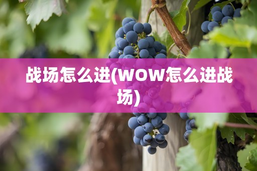 战场怎么进(WOW怎么进战场)