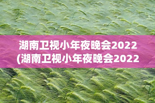 湖南卫视小年夜晚会2022(湖南卫视小年夜晚会2022在哪看)