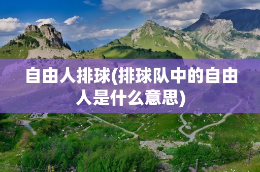 自由人排球(排球队中的自由人是什么意思)