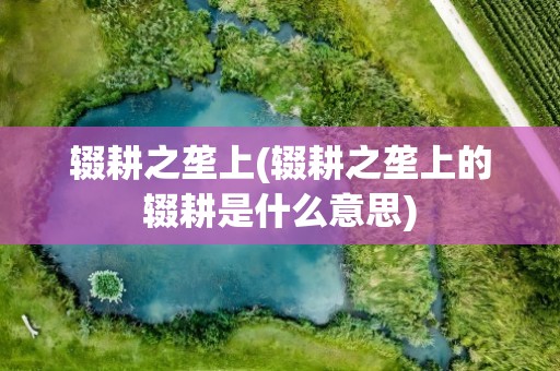 辍耕之垄上(辍耕之垄上的辍耕是什么意思)