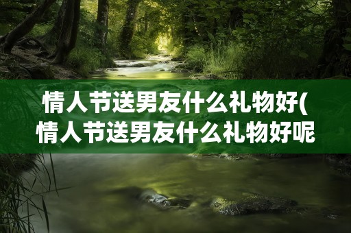 情人节送男友什么礼物好(情人节送男友什么礼物好呢)