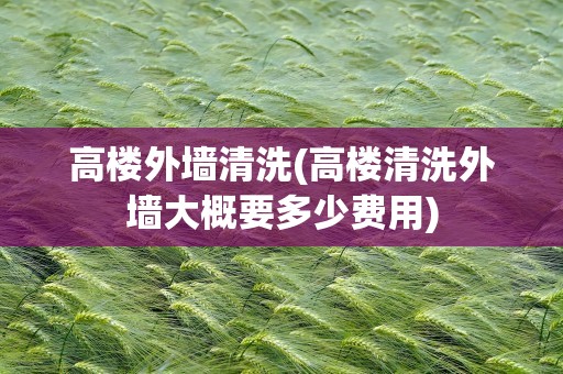 高楼外墙清洗(高楼清洗外墙大概要多少费用)