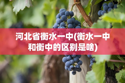 河北省衡水一中(衡水一中和衡中的区别是啥)