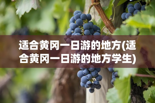 适合黄冈一日游的地方(适合黄冈一日游的地方学生)