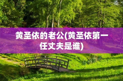 黄圣依的老公(黄圣依第一任丈夫是谁)