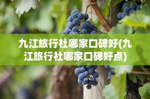 九江旅行社哪家口碑好(九江旅行社哪家口碑好点)
