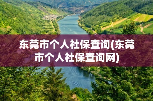东莞市个人社保查询(东莞市个人社保查询网)