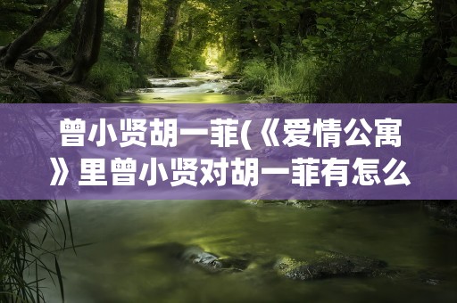 曾小贤胡一菲(《爱情公寓》里曾小贤对胡一菲有怎么样的感情)