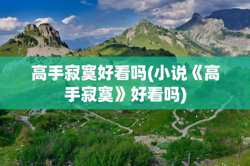 高手寂寞好看吗(小说《高手寂寞》好看吗)