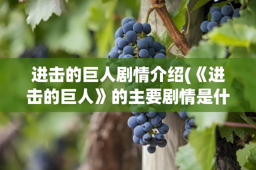 进击的巨人剧情介绍(《进击的巨人》的主要剧情是什么)