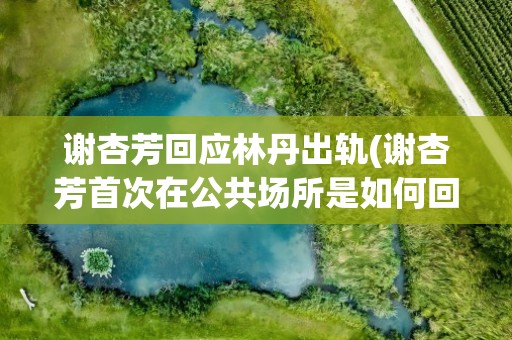 谢杏芳回应林丹出轨(谢杏芳首次在公共场所是如何回应林丹出轨的)