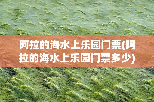 阿拉的海水上乐园门票(阿拉的海水上乐园门票多少)