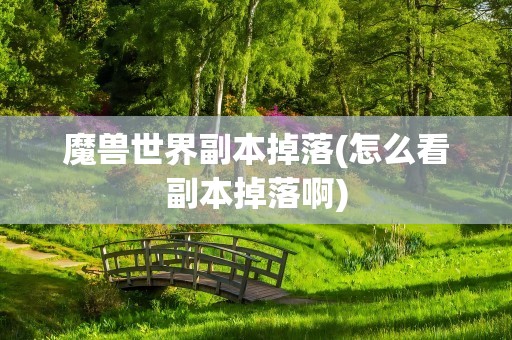 魔兽世界副本掉落(怎么看副本掉落啊)