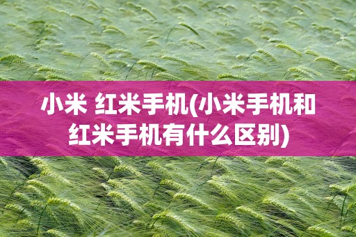 小米 红米手机(小米手机和红米手机有什么区别)