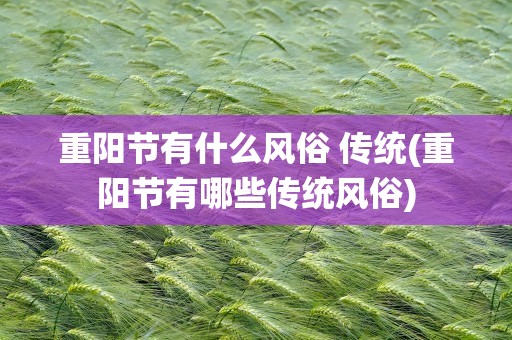 重阳节有什么风俗 传统(重阳节有哪些传统风俗)